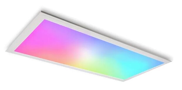 DYNLED Cabineverlichting, paneel 230V/30W incl. noodvoeding, afmeting 300x600mm